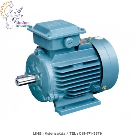 รูปภาพตัวอย่าง **มอเตอร์เอบีบี Abb Motor 150 แรงม้า 2 โพล แบบขาตั้ง รุ่น M2QA 315S2A