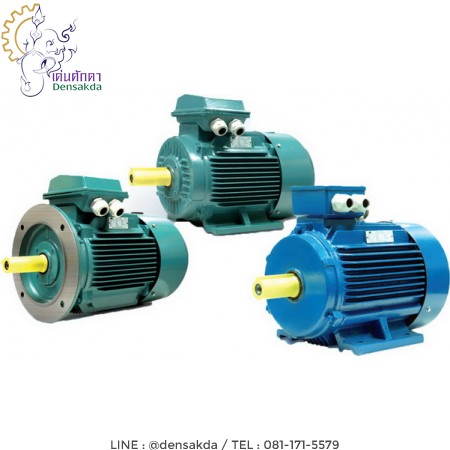 รูปภาพตัวอย่าง **มอเตอร์มุลเลอร์ Muller Motor 340 แรงม้า 2 โพล แบบขาตั้ง B3 QY2 QY2ฺB