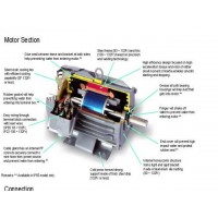 **มอเตอร์มิตซูบิชิ 50 แรงม้า รุ่น SF-J 50 HP 4 P มอเตอร์ มิตซูบิชิ mitsubishi - **มอเตอร์มิตซูบิชิ 50 แรงม้า รุ่น SF-J 50 HP 4 P