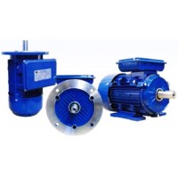 **มอเตอร์มุลเลอร์ Muller Motor 5.5 แรงม้า 2 โพล แบบหน้าแปลน B5 QY2 QY2B มอเตอร์ มุลเลอร์ muller - **มอเตอร์มุลเลอร์ Muller Motor 5.5 แรงม้า 2 โพล แบบหน้าแปลน B5 QY2 QY2B