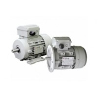 มอเตอร์ ฮาสคอน hascon motor - HASCON มอเตอร์ ฮาสคอน ขนาด 3 แรงม้า 2 โพล ขาตั้ง