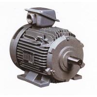 มอเตอร์ ฮิตาชิ hitachi - **มอเตอร์ฮิตาชิ HITACHI 7.5 แรงม้าไฟ 3 เฟส รุ่น 7.5 TFO-KK (DK)