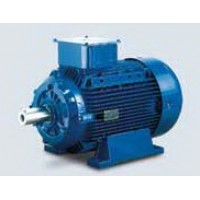 มอเตอร์ เมอร์รารี่ marelli - **มอเตอร์เมอร์รารี่ Marelli 01 HP รุ่น MAA 80B4