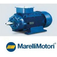 มอเตอร์ เมอร์รารี่ marelli - **มอเตอร์เมอร์รารี่ Marelli 1.5 HP รุ่น MAA 90S4