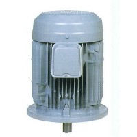 สินค้ามาใหม่ - Hitachi มอเตอร์ฮิตาชิ แบบหน้าแปลน 5 แรงม้า รุ่น 5 VTFO-K(DK)(L)