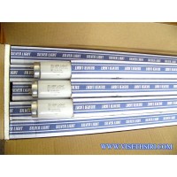***หลอดไฟดักแมลง SILVER LIGHT Black Light UVA 20 Watt :F20T10-BL (ยาว 60 เซ็ฯติเมตร) หลอดไฟดักแมลง - ***หลอดไฟดักแมลง SILVER LIGHT Black Light UVA 20 Watt :F20T10-BL (ยาว 60 เซ็ฯติเมตร)